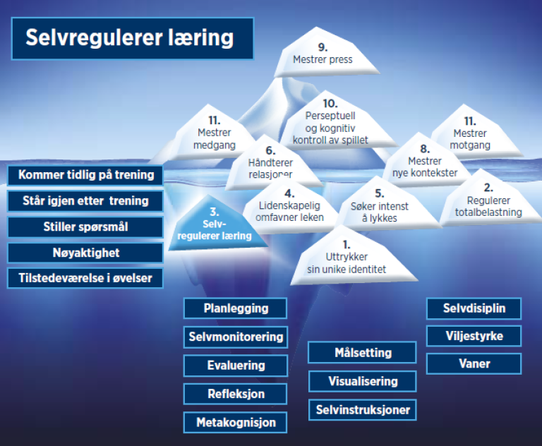 Selvregulerende læring